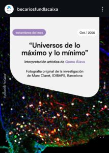 Gema Álava escribe sobre lo máximo y lo mínimo